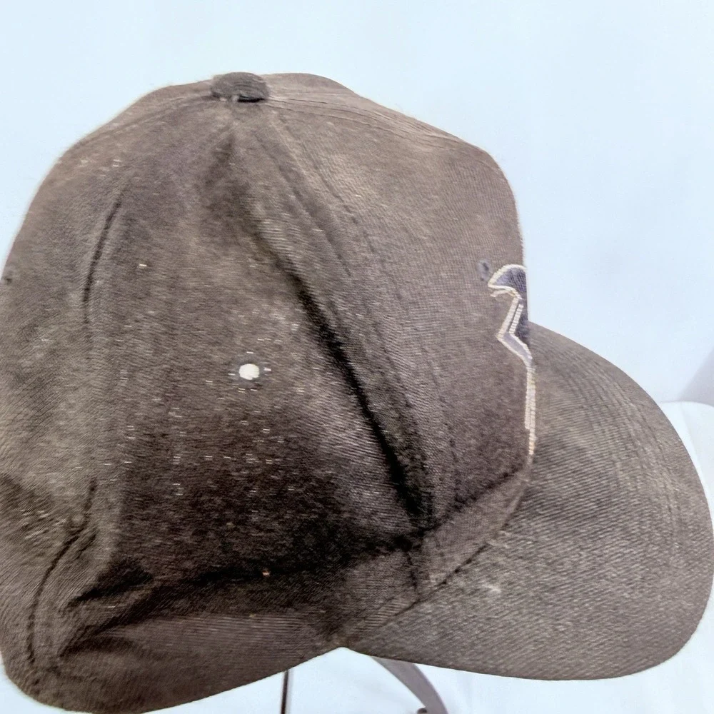 Vintage 90s San‎ Jose Sharks Snapback Hat Cap NHL Adjustable Amapro